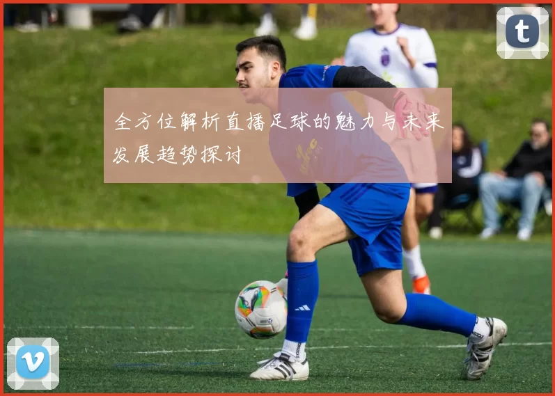 全方位解析直播足球的魅力与未来发展趋势探讨