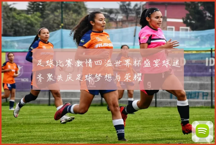 足球比赛激情四溢世界杯盛宴球迷齐聚共庆足球梦想与荣耀