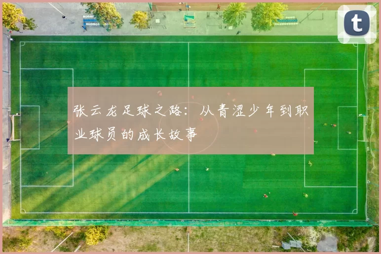 张云龙足球之路：从青涩少年到职业球员的成长故事