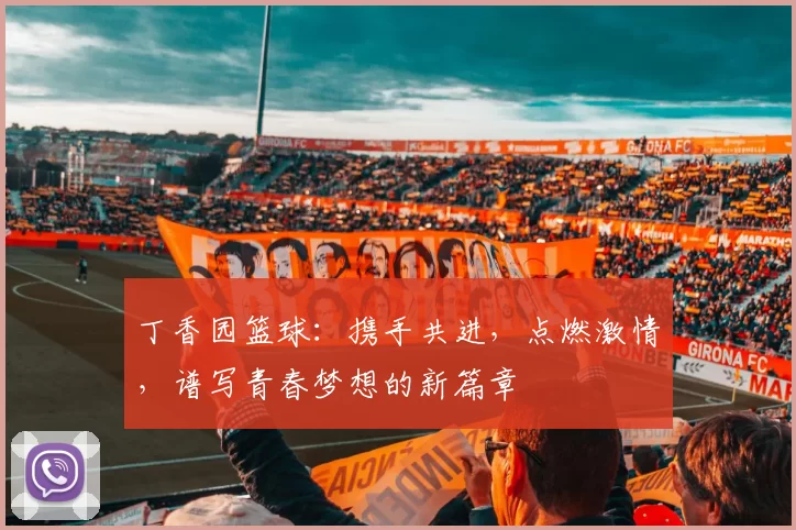 丁香园篮球：携手共进，点燃激情，谱写青春梦想的新篇章